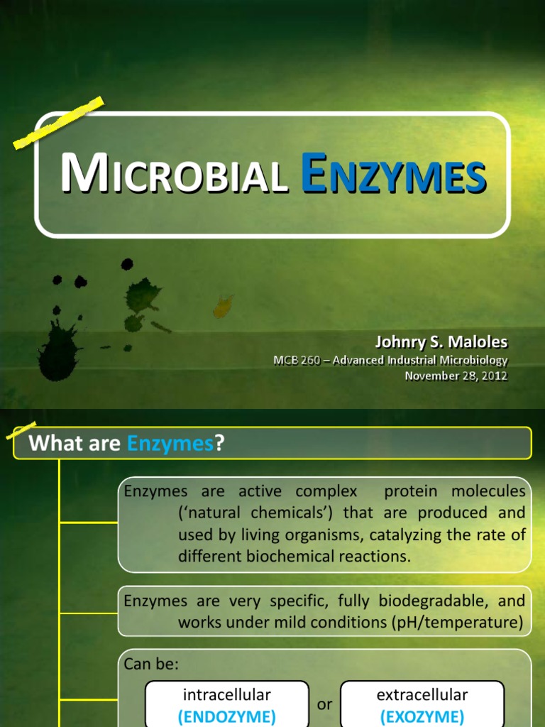 Microbial Enzymes Growth Medium Molecular Cloning