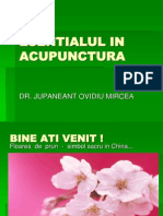 Esentialul in Acupunctura