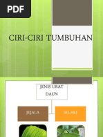 Teka Silang Kata Sains Tahun 5: Across Down