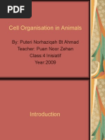 Download Cell Organisation in Animals by puteri 93 SN16543328 doc pdf