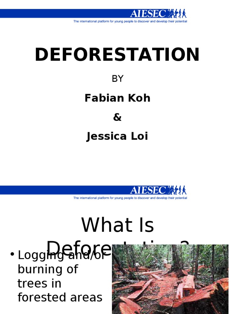 Deforestation: Fabian Koh & Jessica Loi | PDF