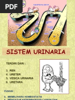 Download Sistem urinaria by sularto SN16544108 doc pdf
