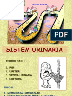 Sistem Urinaria