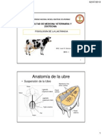 Fisio Lactacion