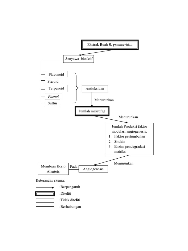 Kerangka Konsep Penelitian | PDF
