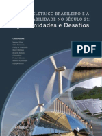 O Setor Eletrico Brasileiro e a Sustentabilidade No Sec 21-Oportunidades e Desafios
