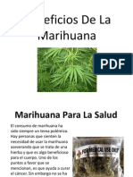 Beneficios de La Marihuana