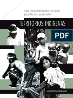 CEJIS_TerritoriosIndigenas_MikelB