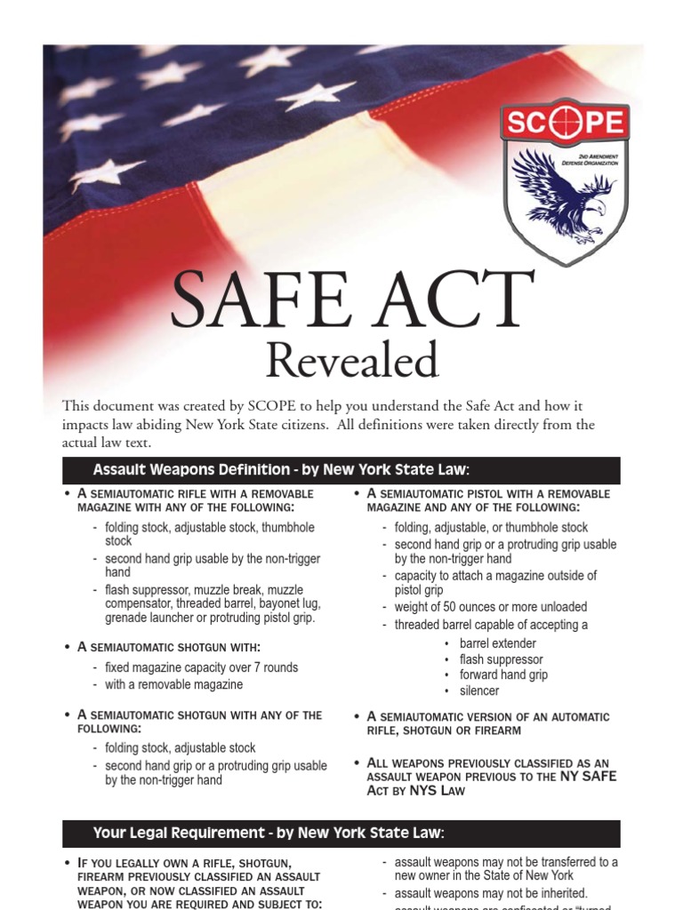 NY SAFE ACT Revealed Assault Weapon National Instant Criminal
