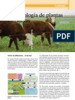 INTA VyE NRO27 Ecofisiologia de Plantas Forrajeras