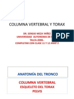 52727537 Clase 6 Columna Vertebral y Torax Pptshare