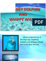 Daphney Dolphin and Whippy Whale