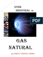 Combustión Industrial Gas Natural