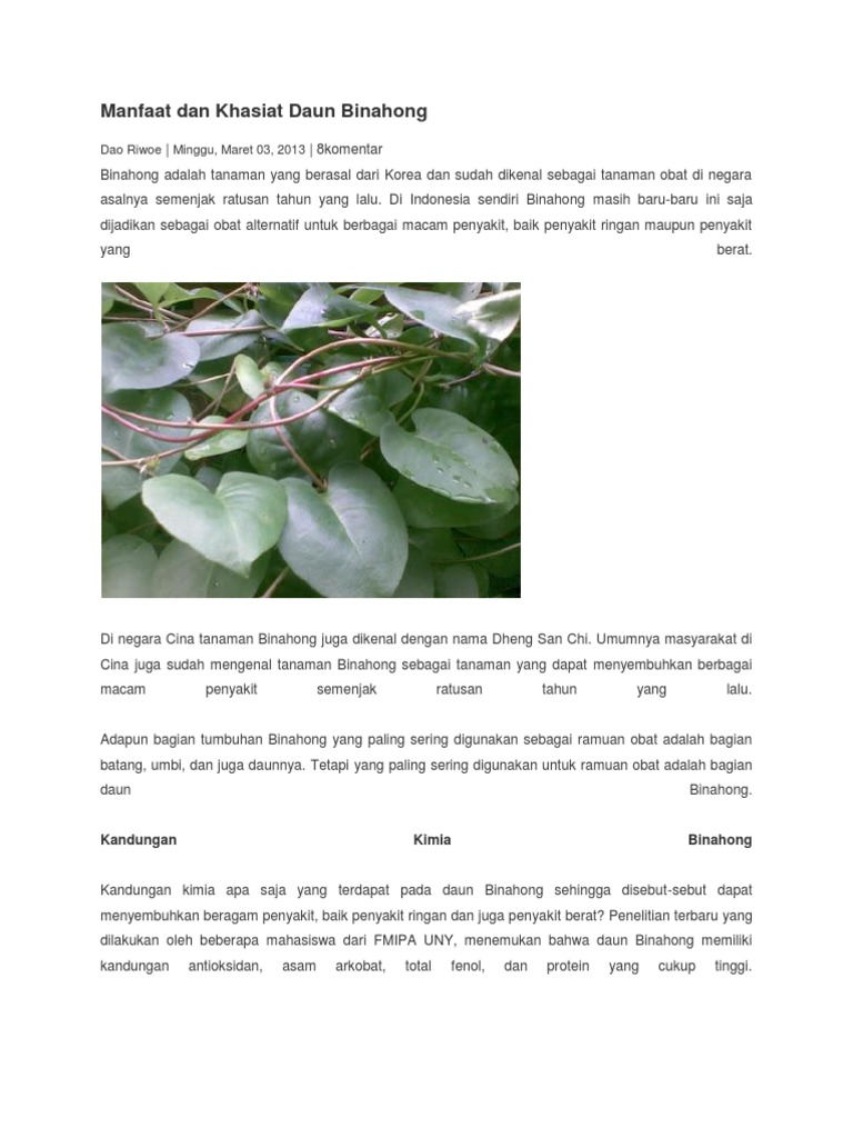 Manfaat Dan Khasiat Daun Binahong