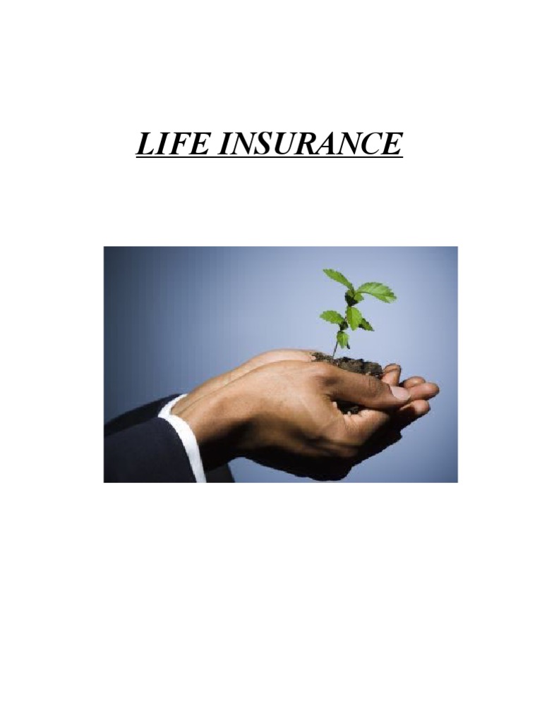 Understanding Life Insurance Basics | PDF
