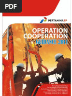 Download KSO Guidelines 2011 by Roby Farizki SN165664965 doc pdf