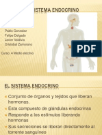 El Sistema Endocrino 1224396295238568 8 100903143157 Phpapp02