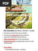 Diversidade e Evolução dos Vertebrados