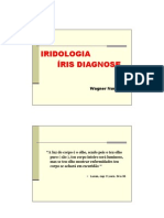 iridologia_irisDiagnose