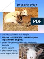 Koze