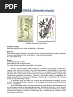 Apostila_Moxabustao_2