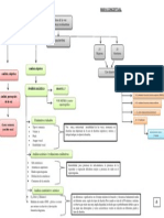 Mapa Conceptual