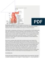 Usg Payudara ini adalah transeltan dari jurnal kedokteran bagian radiologi yang berjudul ultrasounds caracterization of breast masses. jurnal tersebut dapat di download pada google dengan memasukkan keyword judul jurnal. silahkan dibaca semoga membantu yaaaaaaa. hehehehehehehehehehehehehehehe heheheheh 