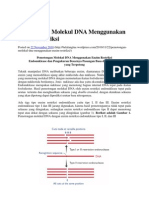 Pemotongan Molekul DNA Menggunakan Enzim