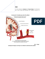 Path o Physiology