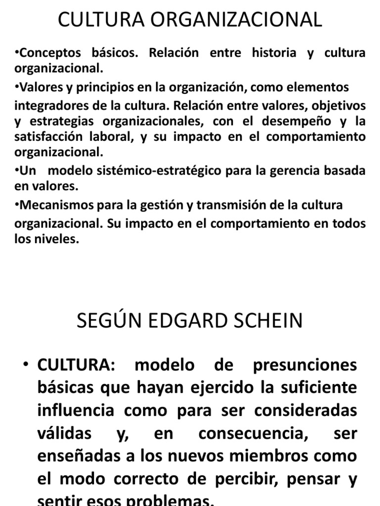 Cultura Organizacional | PDF | Cultura organizacional | Comportamiento