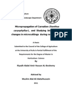 Micropropagation of Carnation Dianthus Caryophyllus L. and Studying Biochemical Changes in Microcuttings During Rooting Stage