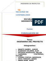 1 Ingenieria de Proyectos