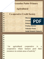 Chinna Koundan Pudur Primary Agricultural Co-Operative Credit Society