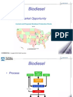 Biodiesel Market Presentation.ppt