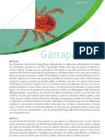 Biologia de Las Garrapatas