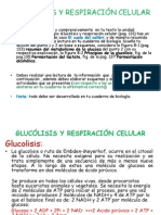 glucolisis