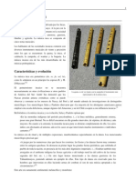 incas.pdf