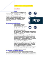 prev-de-riesgos.pdf