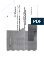 Protocolo Abanderamiento PDF