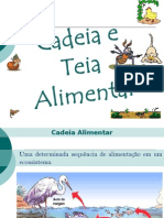 Cadeia e Teia Alimentar 5 e 6