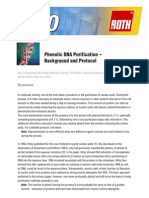Phenolic DNA Purification - Background and Protocol