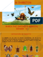 Presentacion Insectos