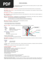 Download 1ra Clase Abdomen - Degraba Pared Abdominal by HinO - Arturo SN16594933 doc pdf