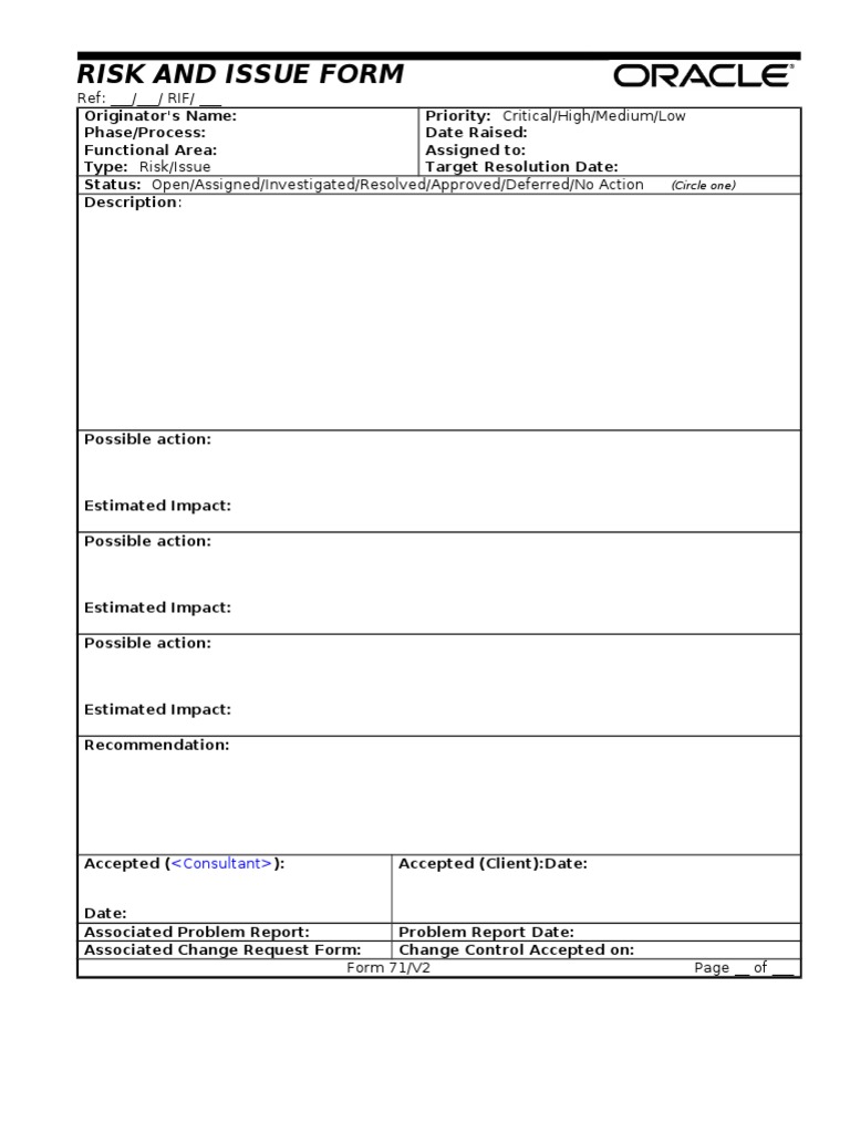 Risk and Issue Management Form | PDF