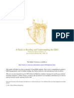 Ekg Guide