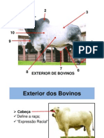 Julgamento de Animais - 3