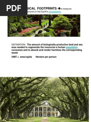 Ecological Footprint