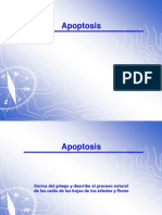 Apoptosis y Necrosis