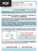 II UNIDADE  -  3º ANO BXXXXXXXXXXXX