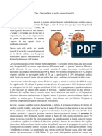 Nefrologia - 1a Lezione PDF
